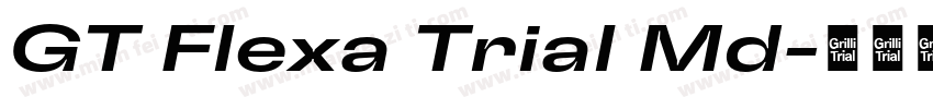 GT Flexa Trial Md字体转换